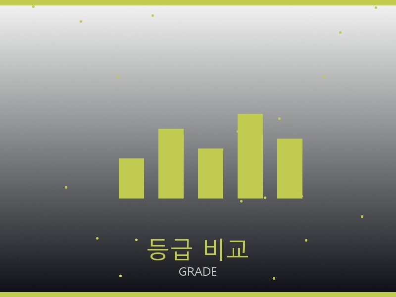 겐조 레플리카 사이트 등급 기준 비교